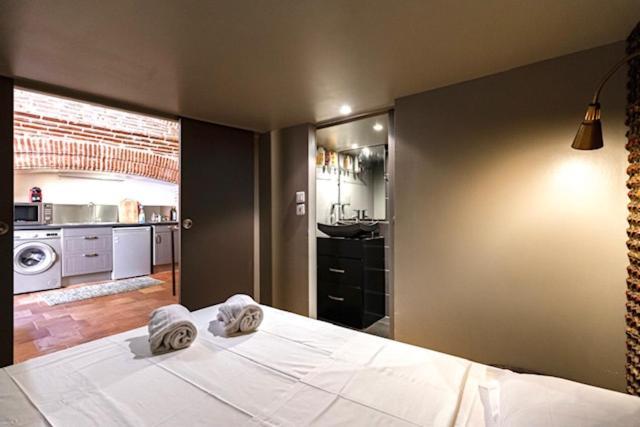 Appartement Duplex Climatise Dans Un Monument Historique à Toulouse Extérieur photo
